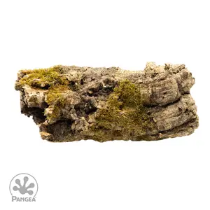 Cork Bark Rounds for Reptiles Cork Bark Rounds for Reptiles