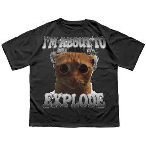 CAT DEALER I'm About To Explode Tee, Funny Cat Meme Graphic Crew Neck T-shirt, Basic Everyday Fit, Casual Unisex Gildan Cotton Clothing
