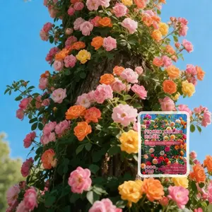 1000 Pcs Climbing Rose  Seeds for Planting Outdoor-Perennial Rare Rose Flowers Plant for Your Grarden Home