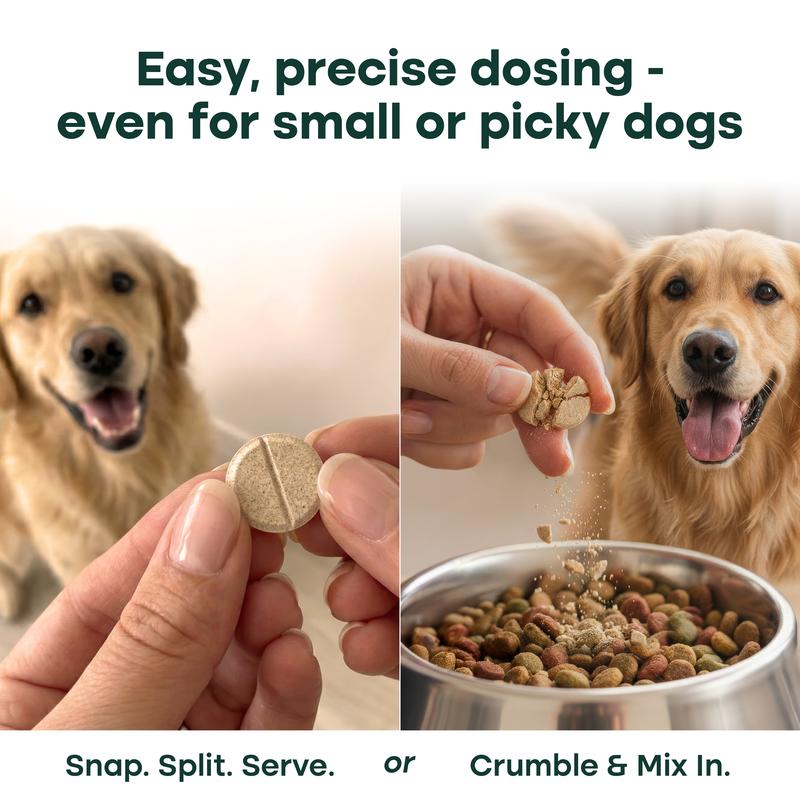 Natureflow Hip & Joint Supplement for Dogs Green-Lipped Mussel Glucosamine Mobility Support Zero Sugar Chewable Tablets MSM Chondroitin Ginger Devil’s Claw Made in USA