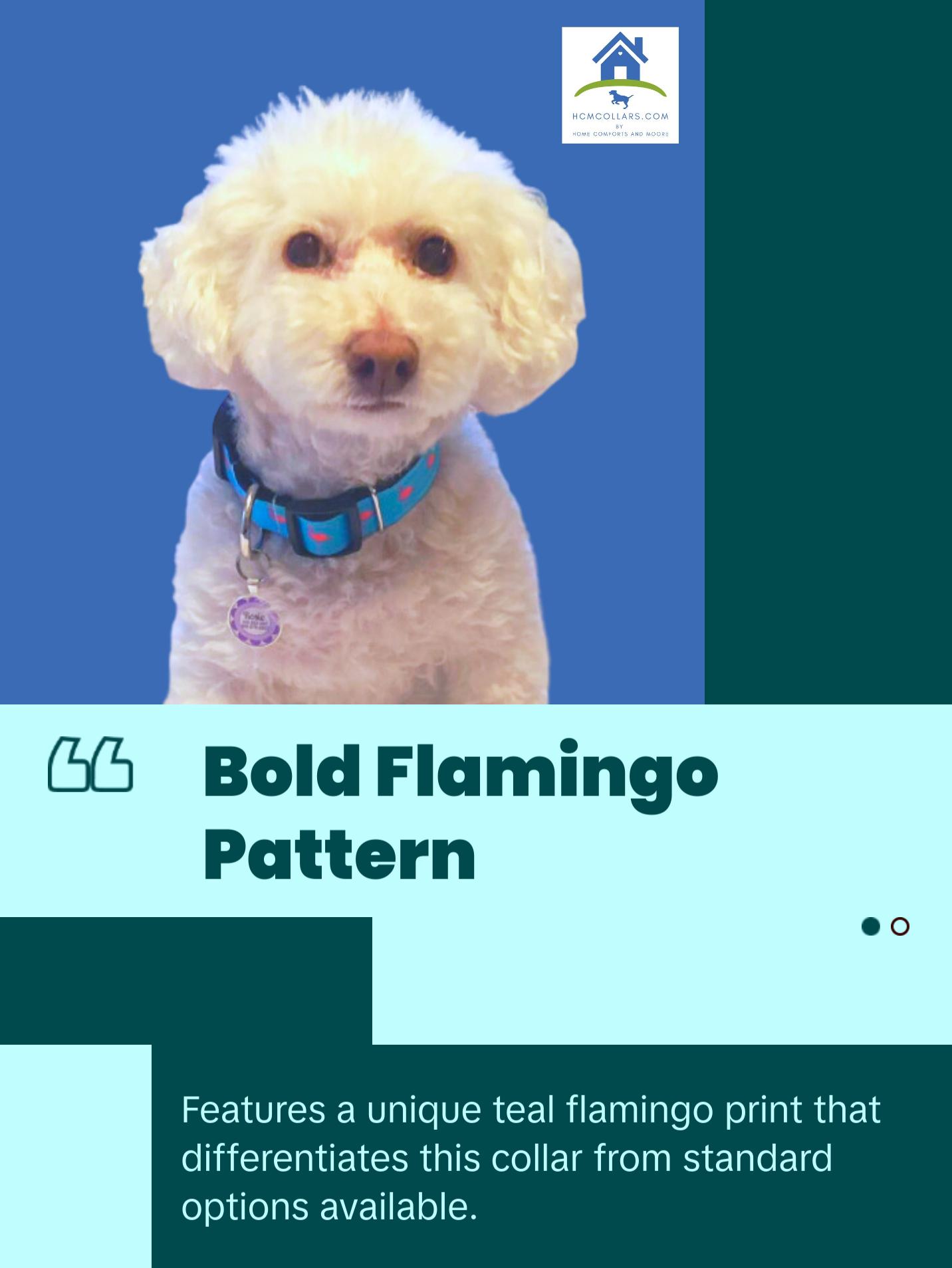 Teal Pink Flamingo Dog Collar