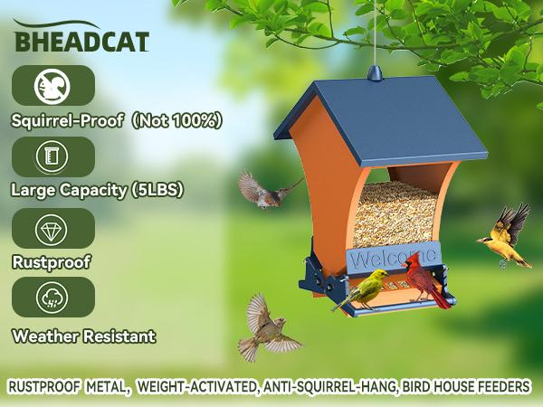 Squirrel-Proof Bird Feeder Wildpark petlovers – Bright Orange, Backyard Feeder for Cardinals & Chickadees, Durable & Easy to Hang, Perfect Spring Gift for Nature Lovers