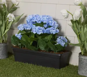 Wicker Park 20" Oversized Indoor/Outdoor Faux Floral Planter Box