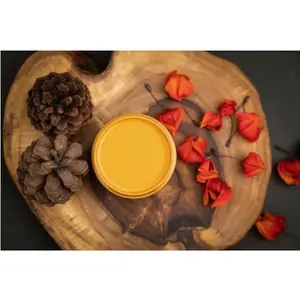 Colonel Mustard- Dixie Belle Chalk Mineral Paint