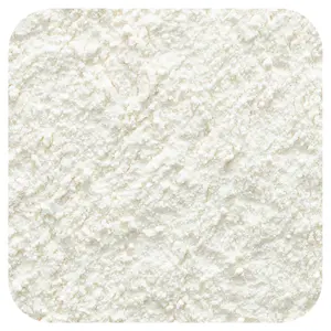 Frontier Co-op White Onion Powder, 16 oz (453 g)
