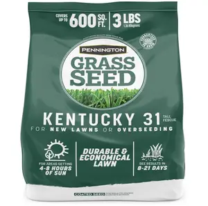 Pennington 100% Kentucky 31 Tall Fescue Penkoted Grass Seed 3 lb