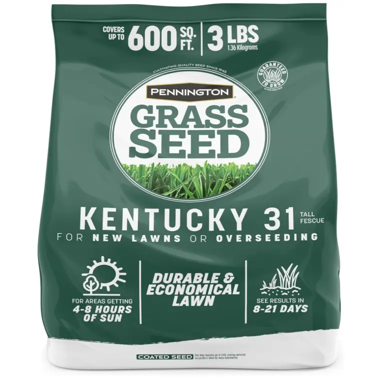 Pennington 100% Kentucky 31 Tall Fescue Penkoted Grass Seed 3 lb Pennington 100% Kentucky 31 Tall Fescue Penkoted Grass Seed 3 lb