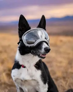 Rex Specs Goggles
