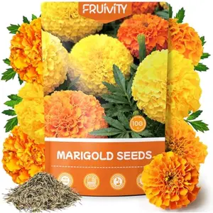 Petite French Marigold Seeds for Planting, 400+ Flower Seeds Non-GMO Heirloom Seed Packet,Home and Garden Easy to Grow, Indoor & Outdoor Gardening, Companion Plant & Quick Blooming
