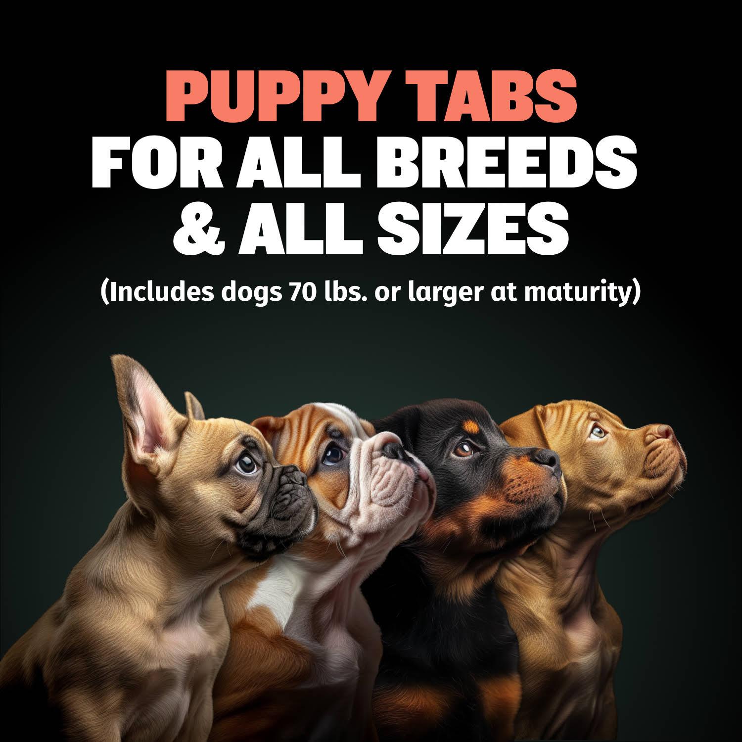 Bully Max Puppy Tabs - Development & Growth Support for Muscle Growth, Immunity, and Wellness - 9,000x Stronger Immune Boost Than Vitamin C