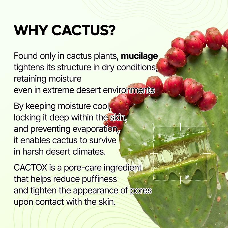 [Dr.Melaxin Official] CACTOX Pore Relief Jelly Serum Mist 80ml with Cactus Cooling & Dehydrated Pore Care
