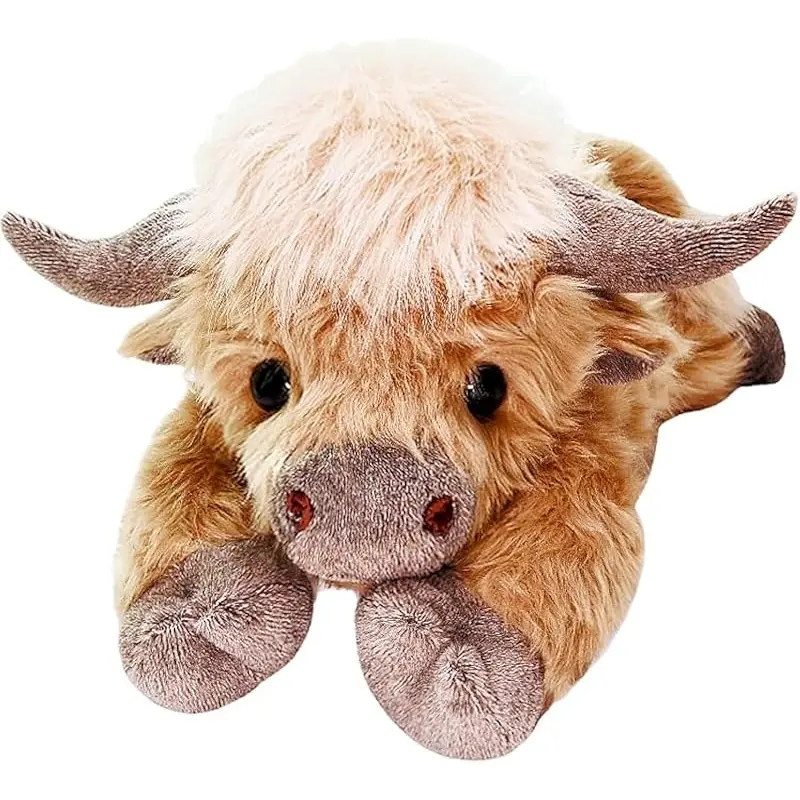 Highland Cow