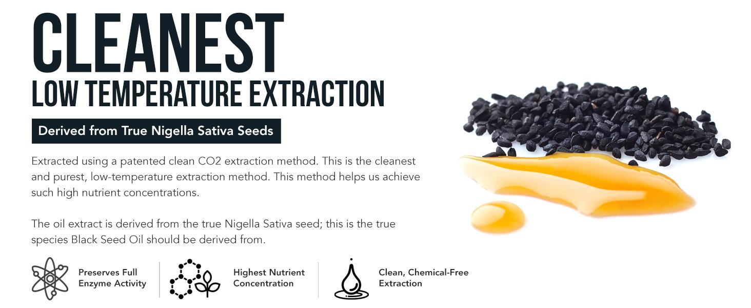 Black Seed Oil with 5% Thymoquinone - 100mg per Serving, 15:1 Concentrate from Nigella Sativa, Vegan, 30 Servings Healthcare Fitness