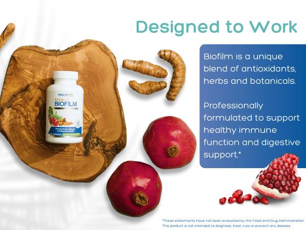 Biofilm Immune Complex – 60 Vegan Capsules with Turmeric, NAC & Botanicals for Immune & Digestive Support Healthcare Fitness