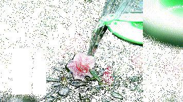 MoonSpry Green Plant Root Solution Horticultural Flower Plant Roots Absorb Growth Nitrogen And Potassium Fertilizer Nutrient Solution