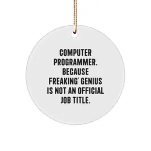 Funny Computer Programmer Gifts for Men Women Friends - Circle Ornament with Inspirational Quote 'genius Is Not An Official Job Title' - Unique Christmas Memorable Presents from Friends Family