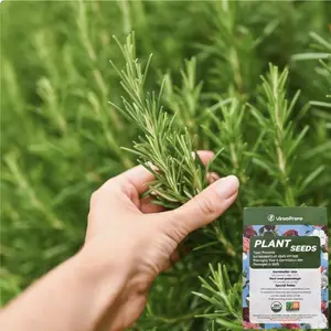 Rosemary seed packets, traditional herb seeds, easy to grow, high germination rate, suitable for indoor and outdoor gardens.
