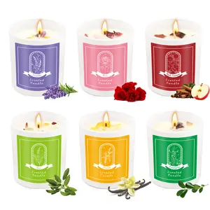 6 Pack Scented Candles Gift Set, 3.5 oz Soy Wax Candles with Dried Flowers and Crystal Accents, Aromatherapy Home Fragrance Candle Set for Women, Relaxation & Gifts