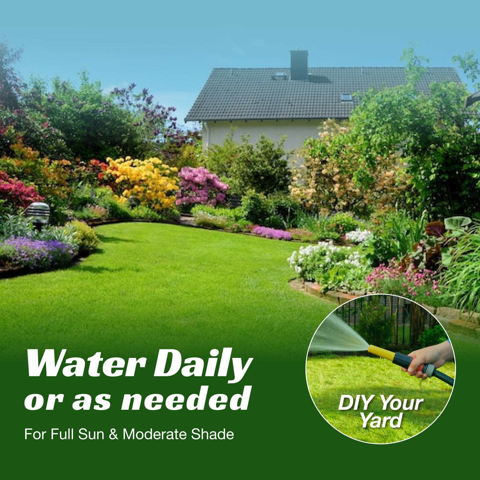 Grass Seed and Shade Grass, Grows quickly and withstands all seasons, perfect for high-quality turf and golf courses, High Germination Grass Seeds Grown in USA Grass Seed and Shade Grass, Grows quickly and withstands all seasons, perfect for high-quality turf and golf courses, High Germination Grass Seeds Grown in USA