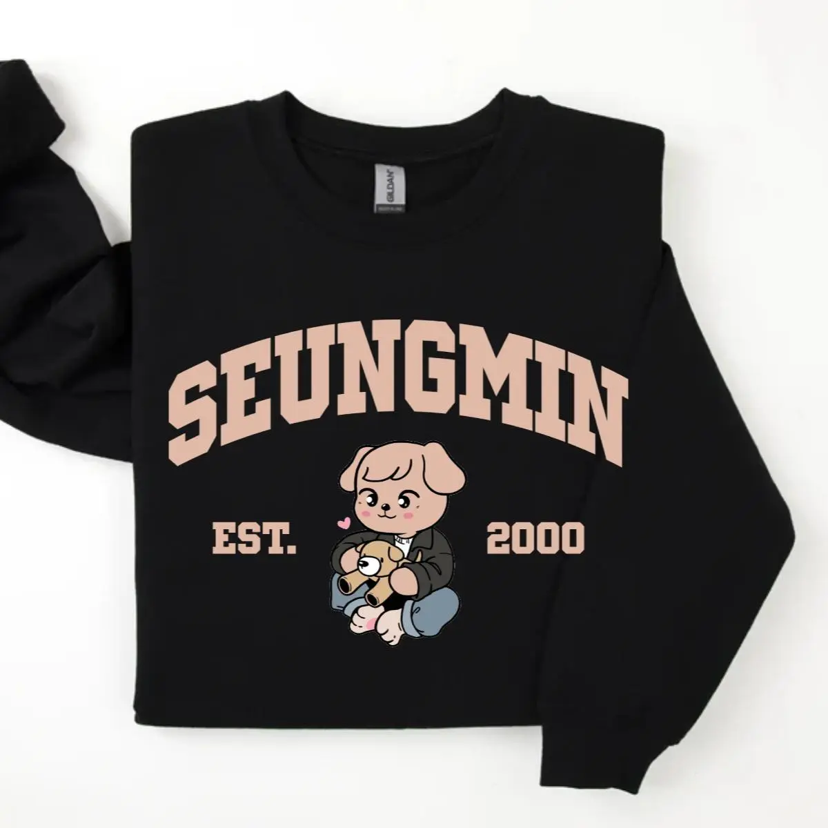 SEUNGMIN Graphic Sweatshirt, Print on Front of Tee, Vintage Print Seungmin T-Shirt, Casual Hoodie, Gift for Men Women