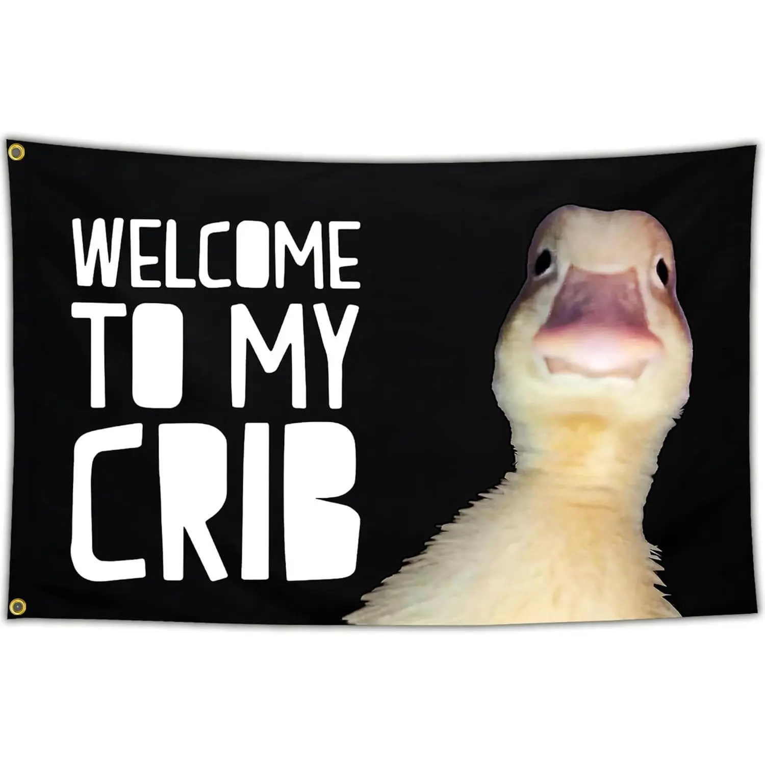 Tapestry Welcome to My Crib Duck Flag Funny Tapestry Flags for Bedroom Room Guys College Dorm Cool Meme Wall Flags Posters Banners for Room Decor    In 60X40 In