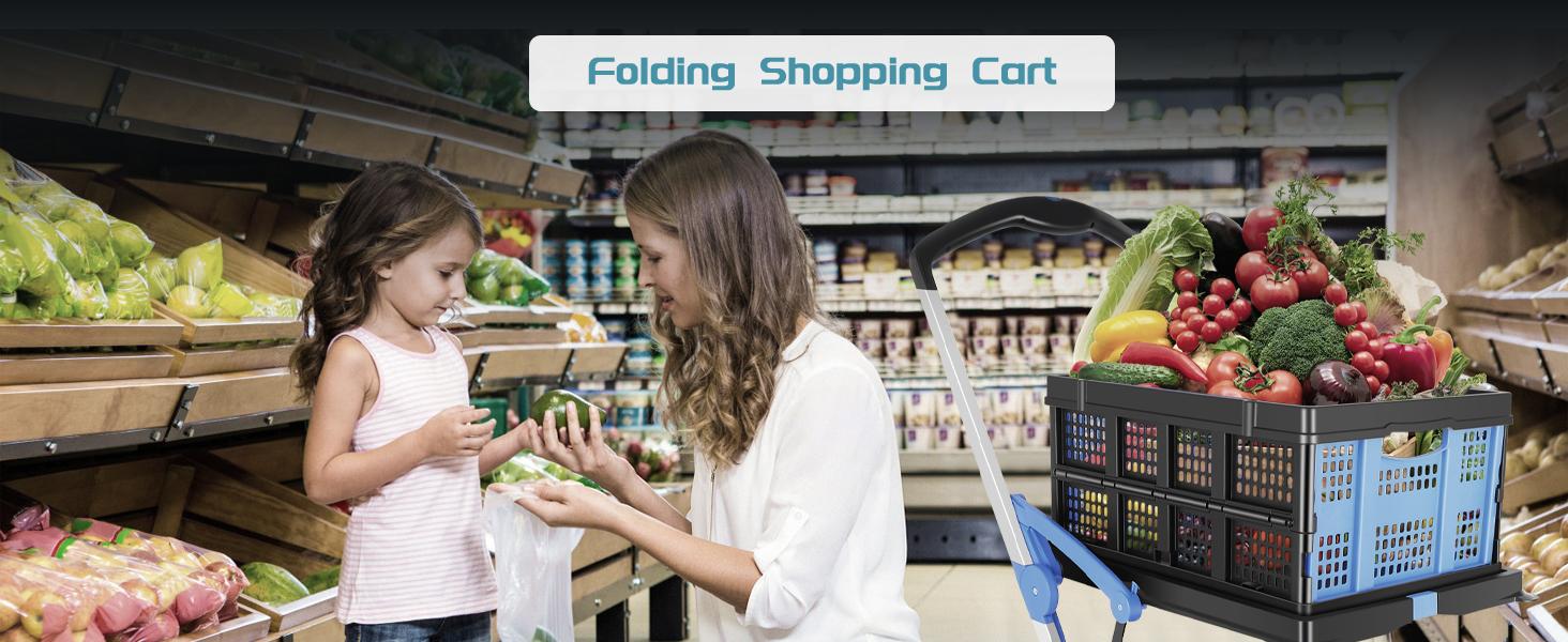 Collapsible Shopping Cart - 2-Tier Multi-Use Functional Portable Folding Food Cart with Wheels & Removable Basket Carries,2 baskets included, Adjustable Foldable rolling trolley for home, grocery, supermarket. Lightweight, BlackFriday