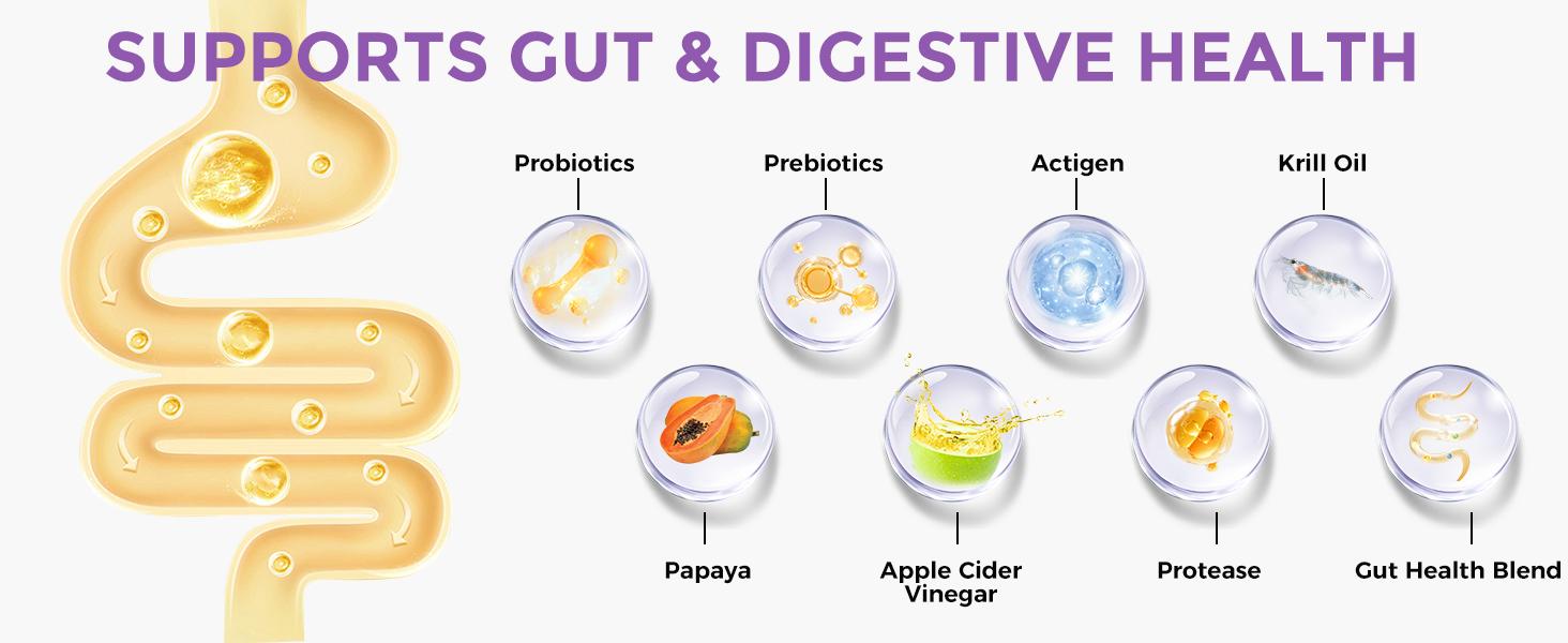 HAPWAG 8-in-1 Probiotics for Dogs – Gut Health, Digestive & Immune Support – Premium-Quality Ingredients – Pork Flavor – 90 Chewable Treats