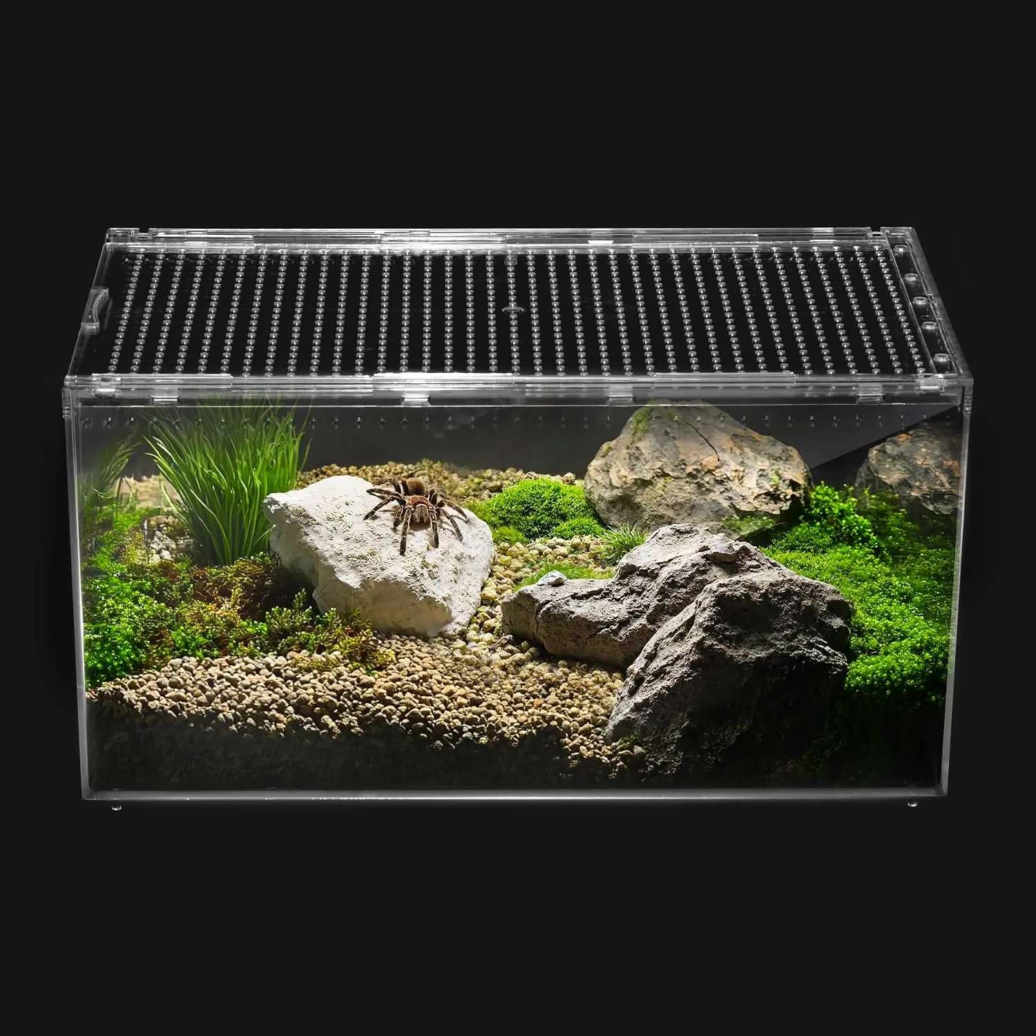 Reptile PC Tank,Escape Proof Magnetic Lid Tarantula Enclosure Small | Easy Clean Seamless Base Hermit Crab Habitat,Stackable Isopod Terrarium,Cross Ventilation Spider Starter Cage,Frog Container