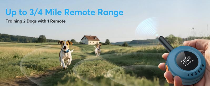Jugbow Dog Training Collar - 3/4 Mile Dog Shock Collar with Remote for Large Medium Small Dogs, Rechargeable IPX8 Waterproof E-Collar with 99 Blunt Stimulation Levels, Tone or Vibration Mode, LED Light & Security Lock T-100