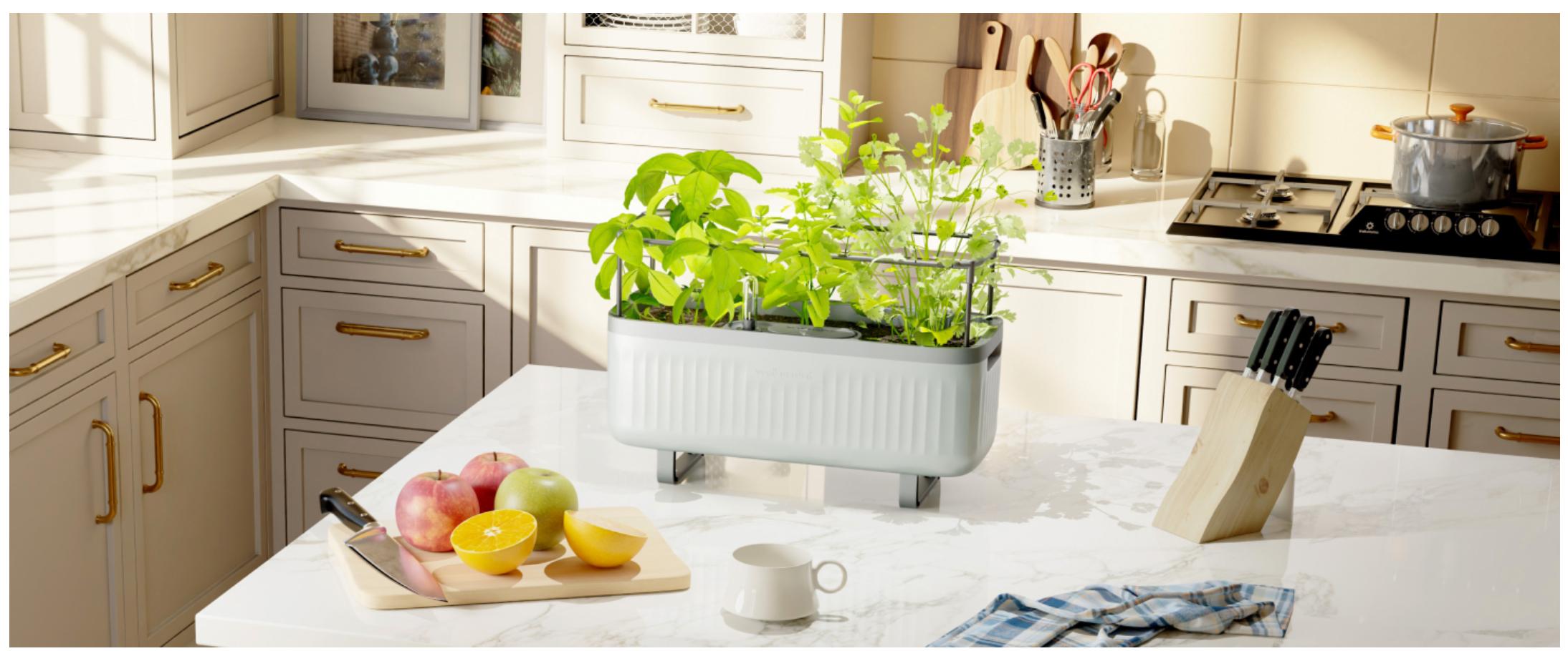 Vego Garden Herb Indoor Plant Box Self Watering Planters Pots with Trellis for Kitchen Window Sill or Countertop Plants Cage Modern & Breathable Design