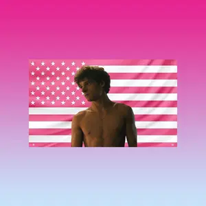 Mason Thames Flag, Pink Aesthetic Wall Flag, Mason Thames Shirtless Flag, Actor Fan Room Decor hot actor wall art tv show tapestry