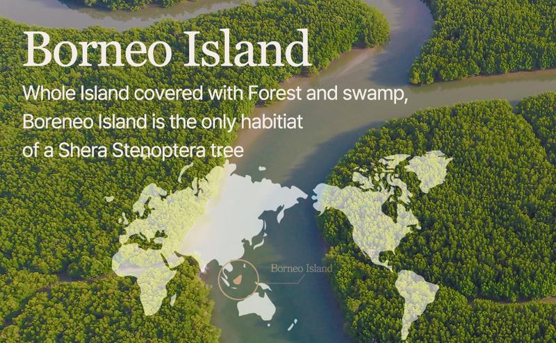 [mixsoon Official Shop] Vegan Melting Lip Balm (Dry Rose) 0.14 oz / 4.1g - Nourishing Lip Balm Stick for Dry Cracked Lips, Korean Skin Care