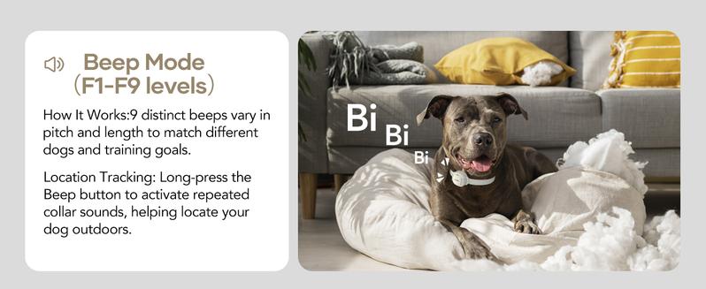 Jugbow Shock Collar for Small Dogs - 4200FT Dog Training Collar with Remote for 5-30lbs Mini Small Dogs, IPX8-Waterproof Rechargeable E-Collar with Beep (1-9), Vibration(1-3), Safe Shock(0-16) DT54 Jugbow Shock Collar for Small Dogs - 4200FT Dog Training Collar with Remote for 5-30lbs Mini Small Dogs, IPX8-Waterproof Rechargeable E-Collar with Beep (1-9), Vibration(1-3), Safe Shock(0-16) DT54