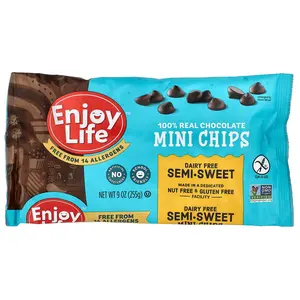 Enjoy Life Foods 100% Real Chocolate Mini Chips, Semi-Sweet, 9 oz (255 g)