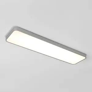 Europa 48 LED flush mount light - with remote