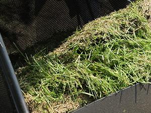 PowerSmart Self Propelled Gas Lawn Mower, 21-Inch with 170cc 4-Cycle OHV Engine 2-in-1 Rear-Wheel Drive Lawnmower with Bagging(V8721S)