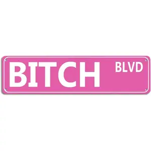 Retro Pink Tin Metal Sign - 'BITCH BLVD' - Bold Statement Decor for Home, Bar, or Dorm - 16x4 Inches - Unique Gift Idea for Friends(B71)