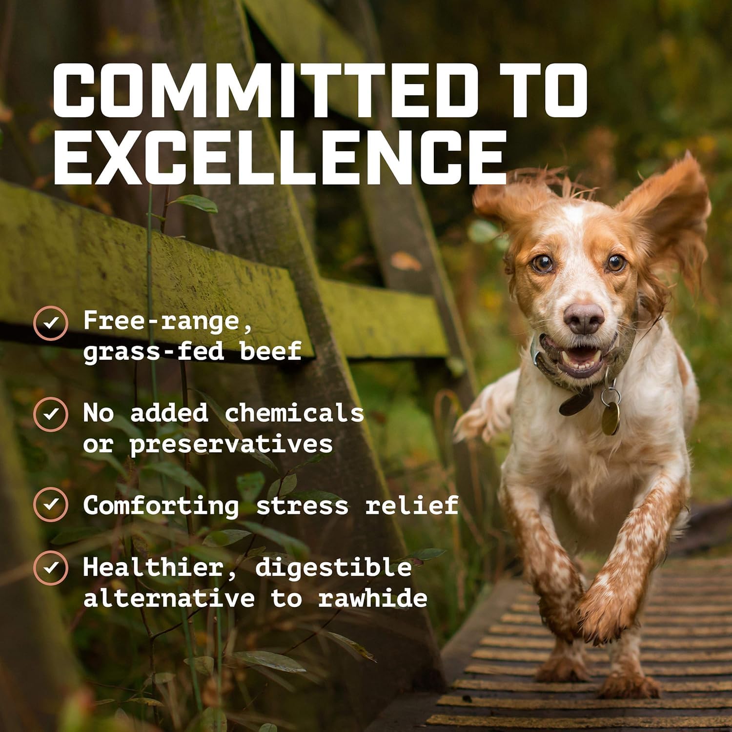 12-inch Bully Sticks (8oz./~5 Sticks) Healthy, All-Natural, Long-Lasting Dog Chew Bones - Low Odor - Mixed Thickness - Lab-Tested, Hand-Inspected and Packed with Love in The USA - High Protein Treats