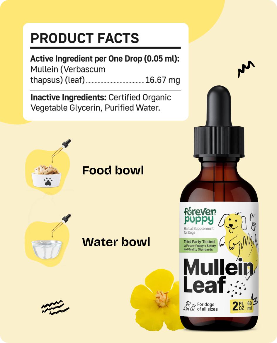 Mullein Tincture for Dogs - Respiratory Health Support - Canine Mullein Drops for Lungs - Dog Food Supplements and Vitamins - All Breeds & Sizes - Sugar & Alcohol-Free - 2 fl oz Mullein Tincture for Dogs - Respiratory Health Support - Canine Mullein Drops for Lungs - Dog Food Supplements and Vitamins - All Breeds & Sizes - Sugar & Alcohol-Free - 2 fl oz