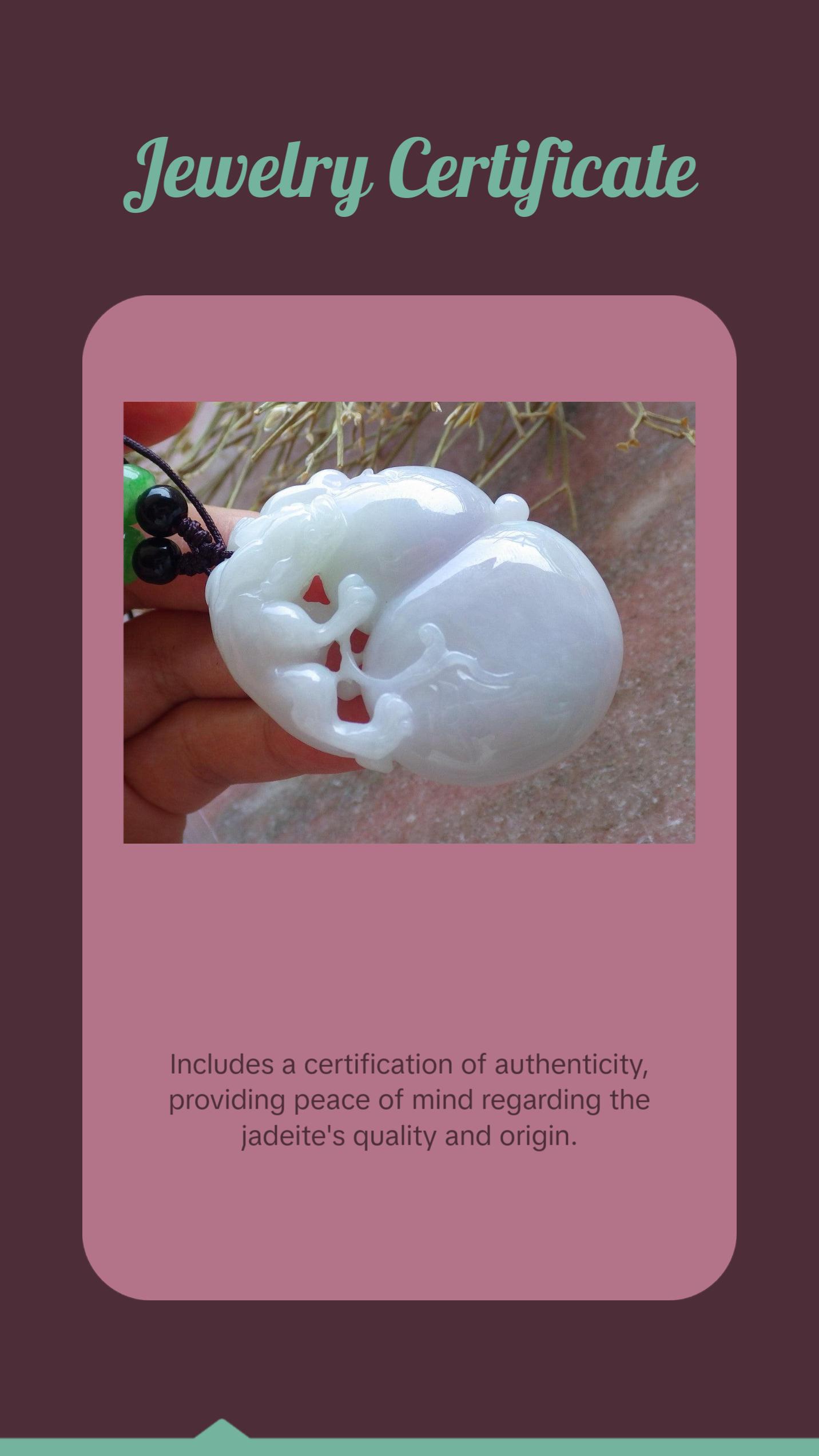 Certified Hand Carved Natural Lavender Green Burma A Jade jadeite Dragon Pi Xiu Gourd Pendant Necklace