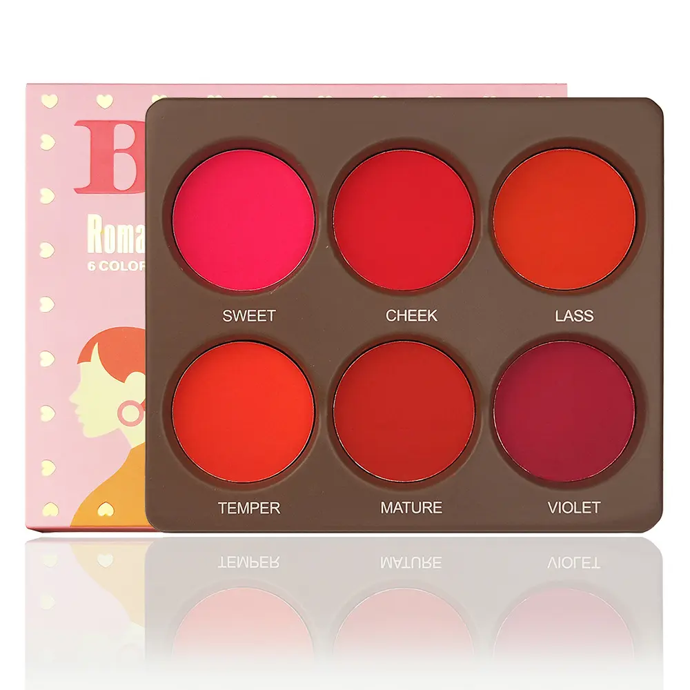 6 Color Matte Waterproof Blush Palette with Smooth Texture, Long-Lasting Makeup Kit for All Skin Types, Ideal for Daily Use and Special Occasions, Beauty Cosmetics, Cosmetics Products