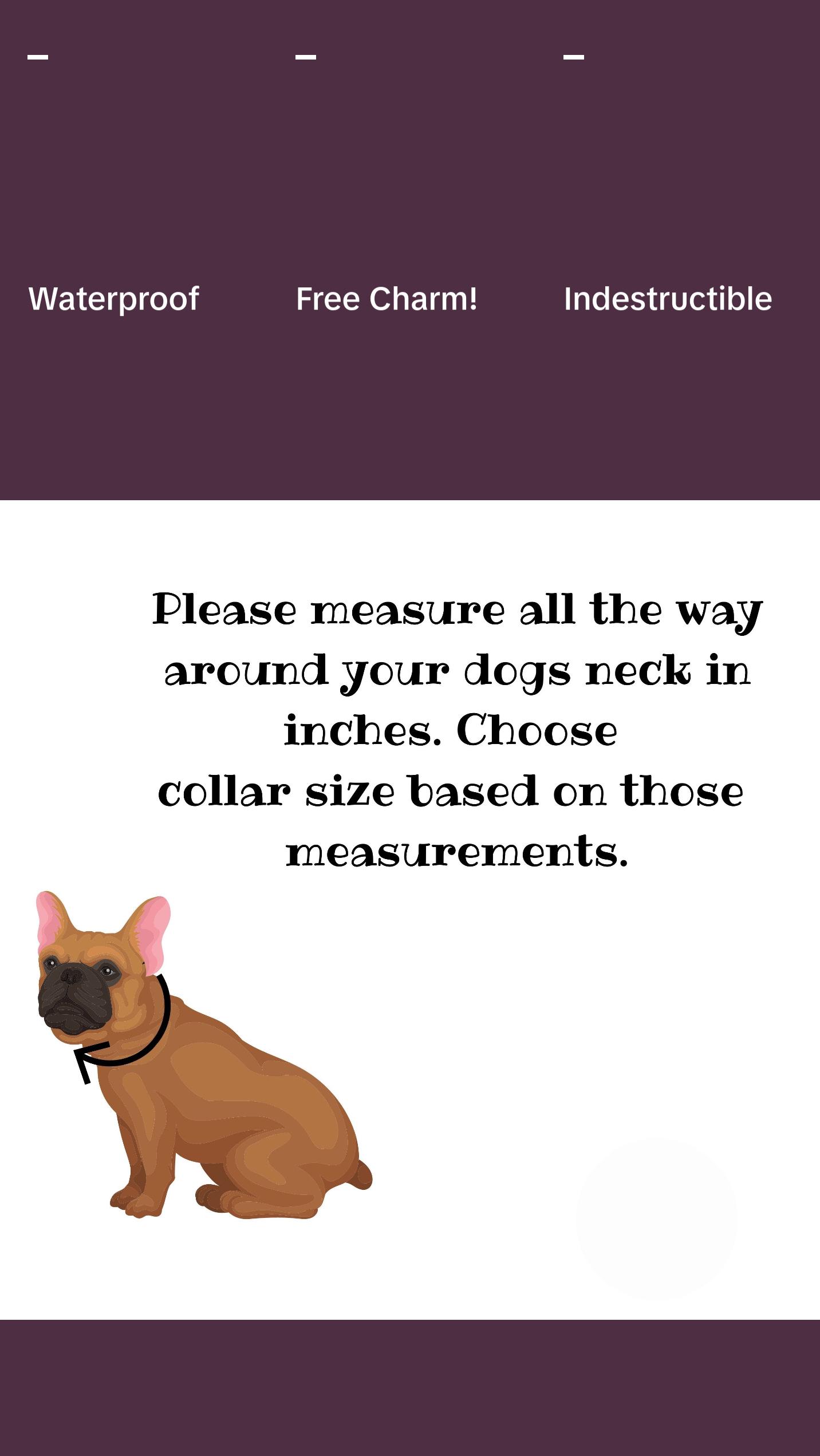 Pink & Mint Beaded Dog Collar | Custom Pearl Dog Collars  | Durable Dog Necklace | Luxury Dog Jewelry |