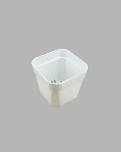 2" Nursery Pots – Bundle of 10 – Plastic with Drainage Holes