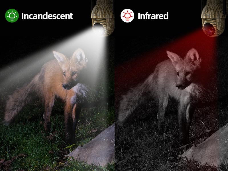 SeeVision 4G LTE Cellular Trail Camera with 360° View FHD Live Streaming Solar Panel Night Vision Motion Detection Two-Way Audio for Hunting & Outdoor Security