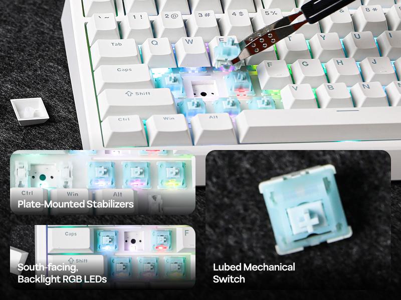 EPOMAKER G84 80% Gasket QMK/VIA Custom Mechanical Keyboard with Hot-Swappable Keys RGB Backlit Shine-Through PBT Keycaps Tri-Mode 2.4Ghz/BT/Type-C thocky creamykeyboards desk accessories keyboards for gaming creamy keyboard