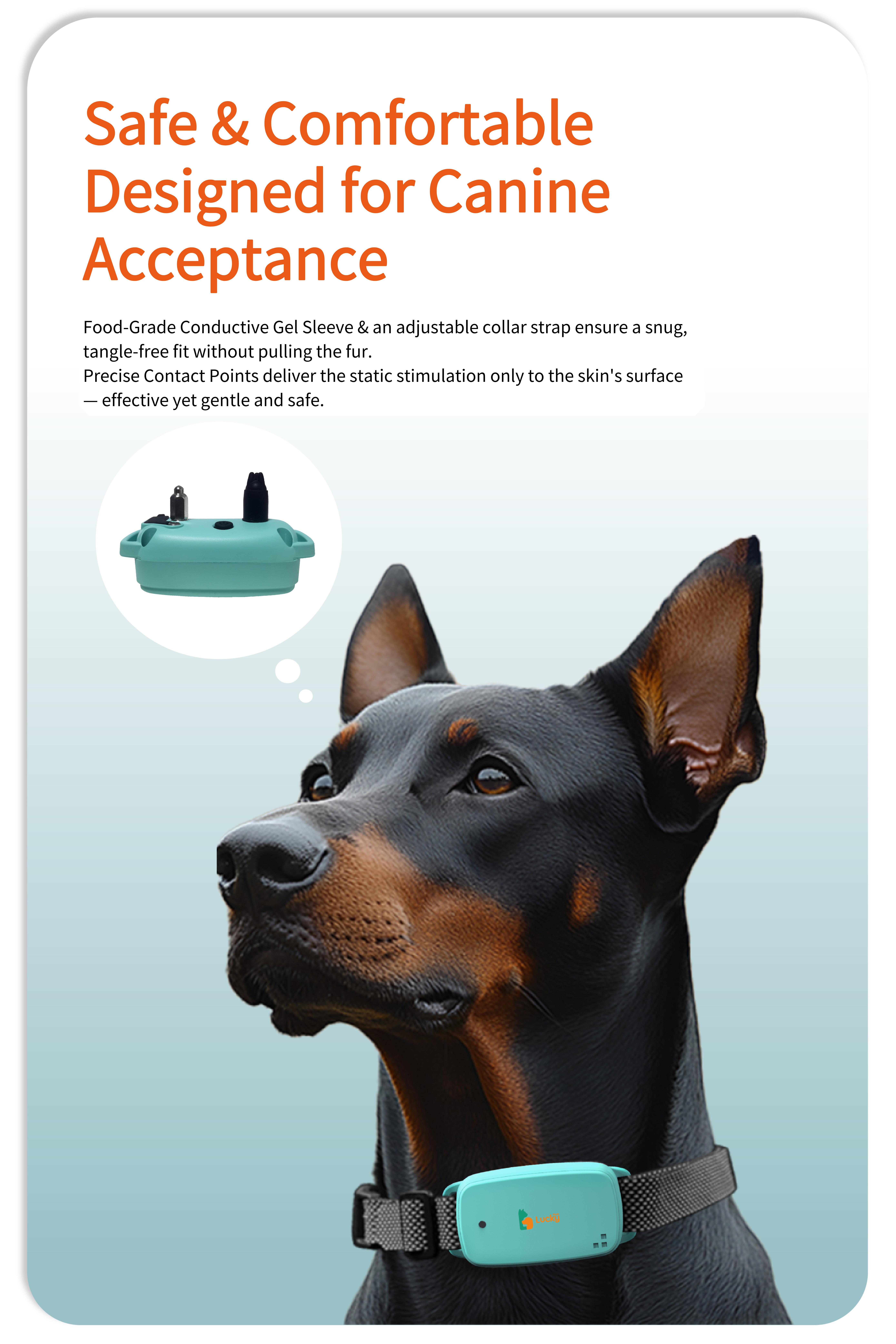 Luckymyth - Dog Training Collar  Leash – 3200ft remote control- built-in light- IP67 waterproof- magnetic charging- 30 static levels + 10 vibration/sound modes-fits dogs 10–120 lbs- integrates both leash and training capabilities-Handles two dogs at once