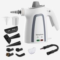 199 Handheld Steam Cleaner