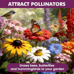 Wildflower Seeds Bulk 10000+, 1.06oz Butterfly Hummingbird Mix, 21 Variety Perennial Annual Mix, Non-GMO Heirloom Flower Seeds for Planting Outdoor Indoor, High Germination Rate Garden Seeds