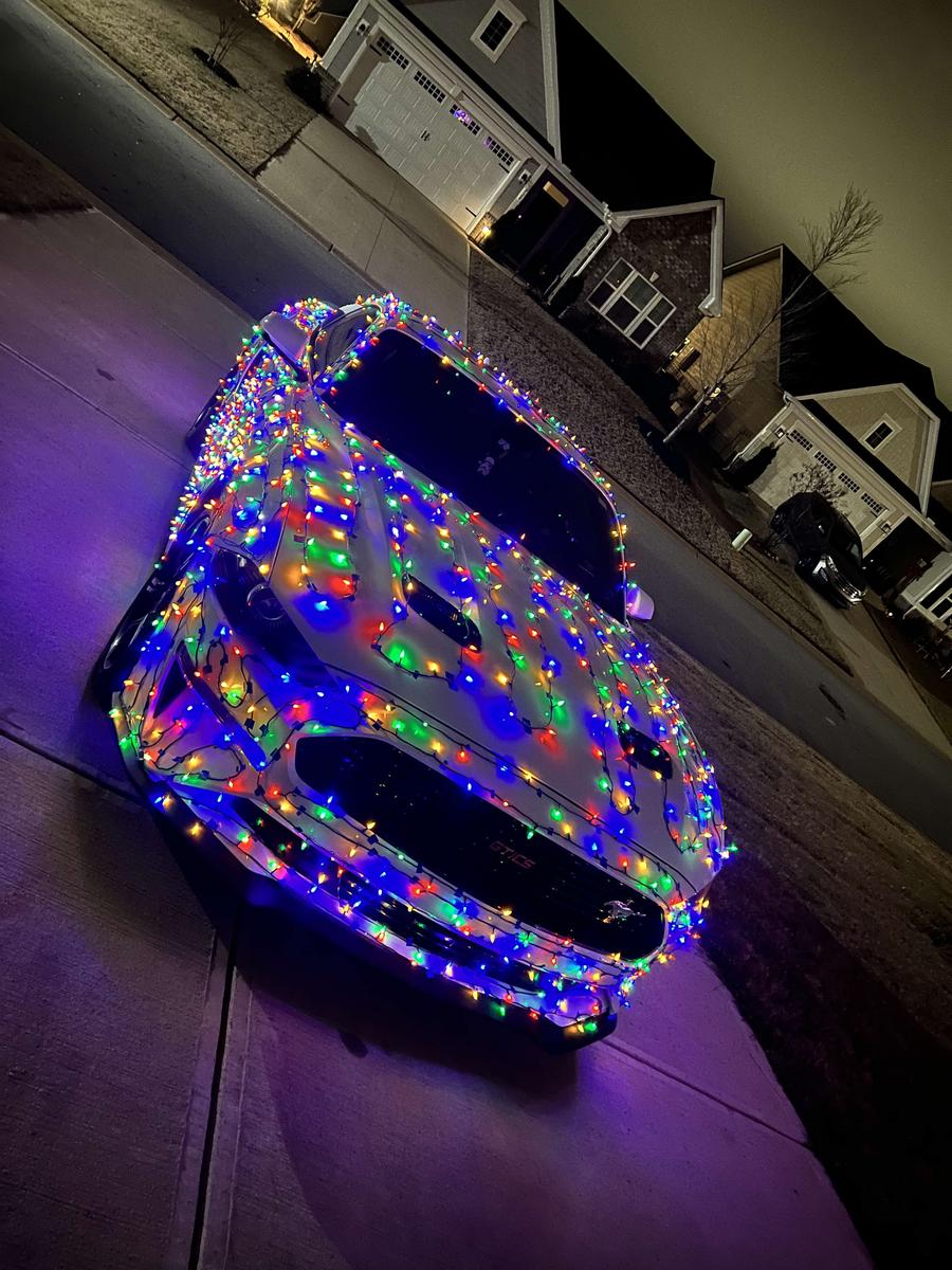 Item: Pointed – Multicolor