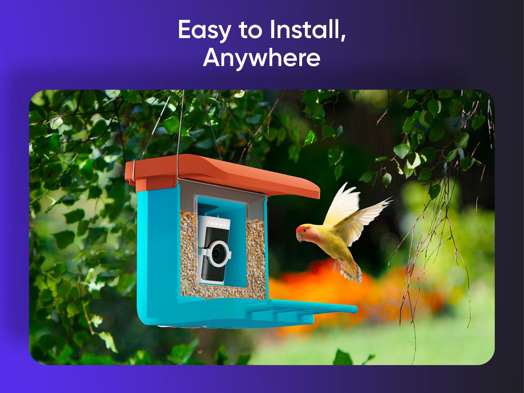 Wyze Bird Feeder with HD Camera — View & Record Live Video of Feathered Visitors with Your Favorite Wyze Camera